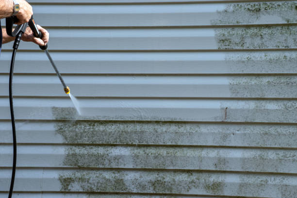Best Wood Siding Installation  in Boron, CA