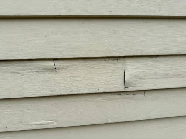 Best Storm Damage Siding Repair  in Boron, CA